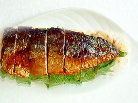 塩鯖で 焼きさば寿司